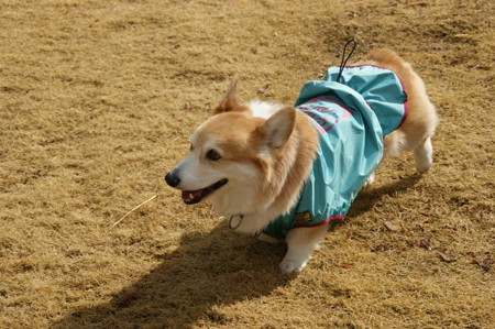DSC05206