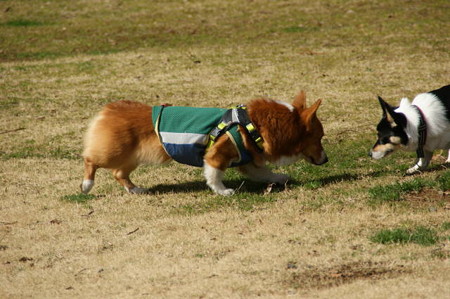 DSC05564