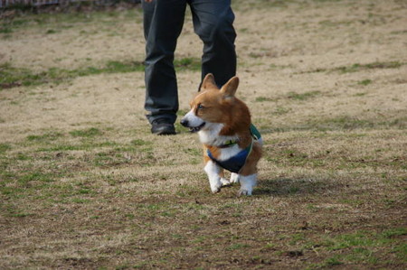 DSC05585