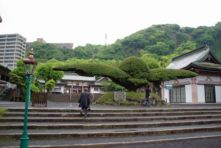 IMGP6659