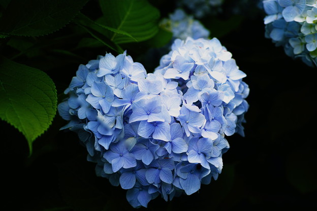 SDIM1267