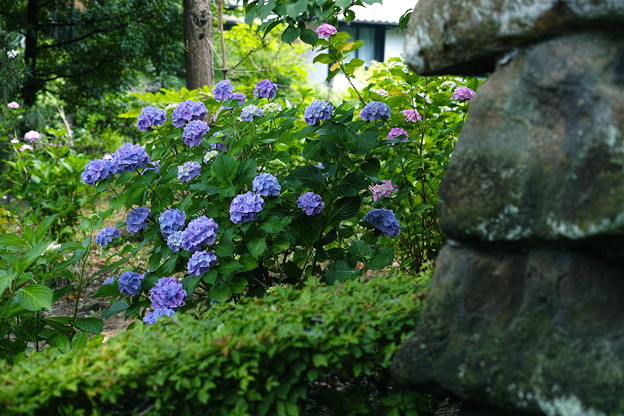 SDIM1357