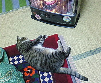 いきだおれ