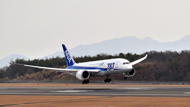 JA810A-B787-4