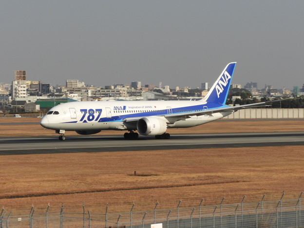 ana b787-8