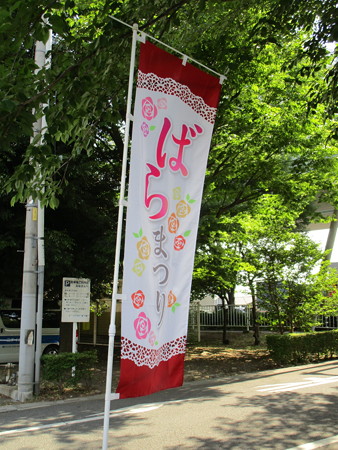 与野公園のばらまつり