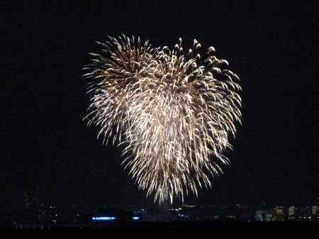 さいたま市の政令指定都市15周年花火大会 (50)