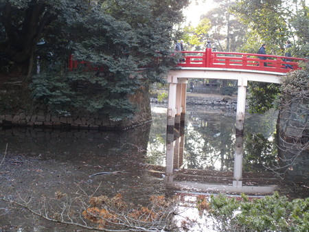 池の水が