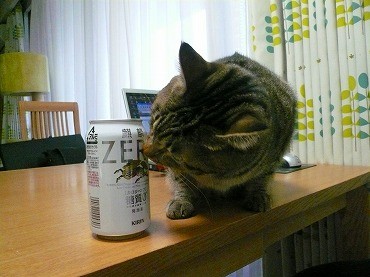みーちゃんとZEROP1070399.jpg