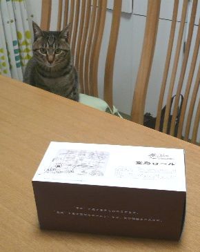 なんかの霊