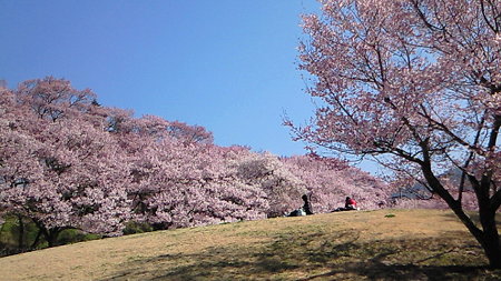 200904090902000