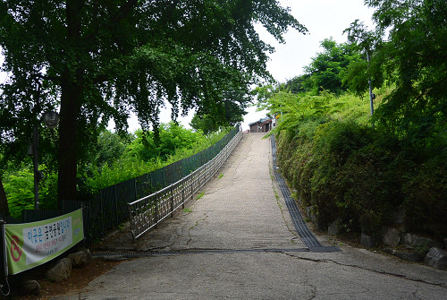 resize0020 写真: resize0020