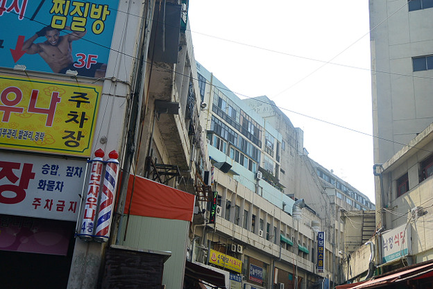 resize4537 写真: resize4537