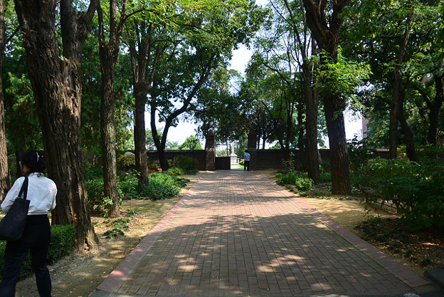 resize4619 写真: resize4619