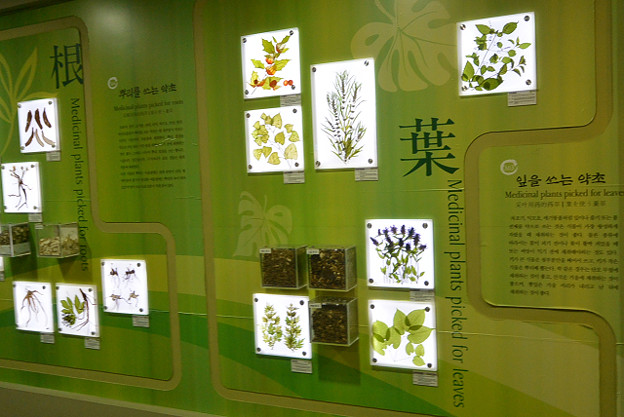 resize5512 写真: resize5512