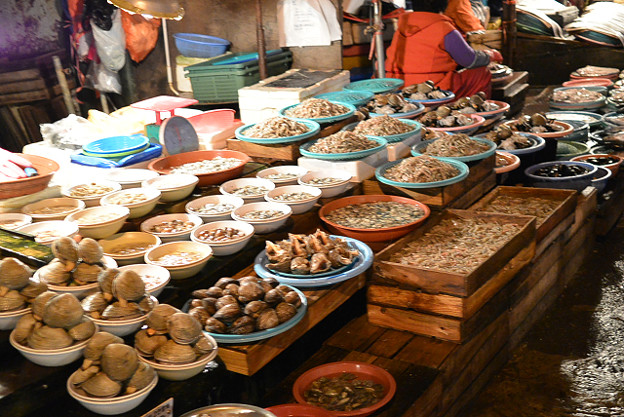 resize6058 写真: resize6058
