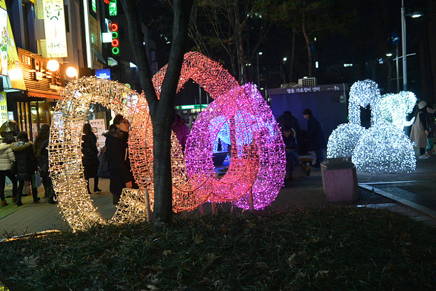 resize7561 写真: resize7561