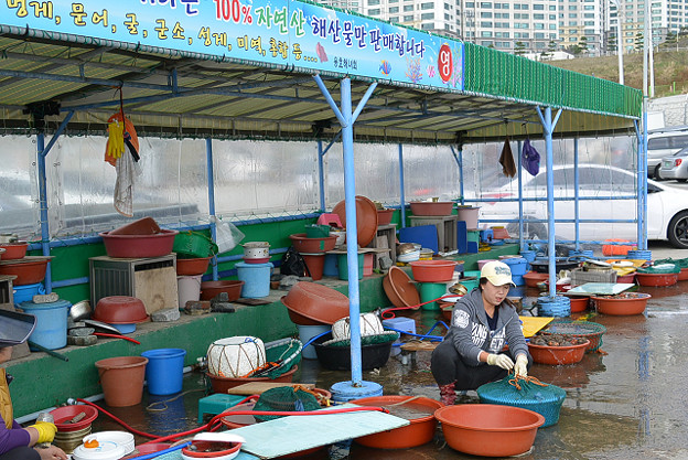 resize6323 写真: resize6323