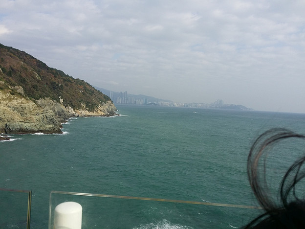 resize7419 写真: resize7419