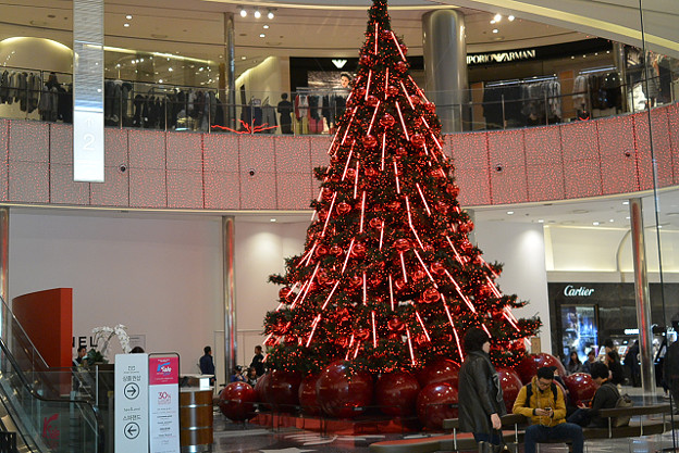 resize6353 写真: resize6353