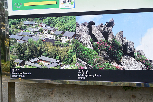 resize6581 写真: resize6581