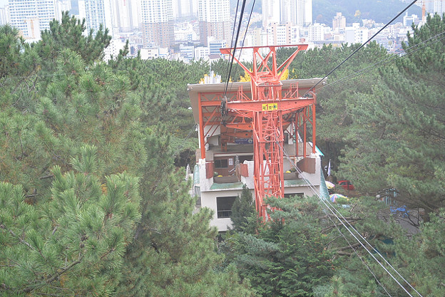 resize6598 写真: resize6598
