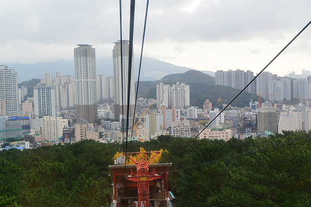 resize6599 写真: resize6599