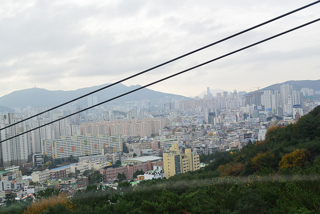 resize6600 写真: resize6600