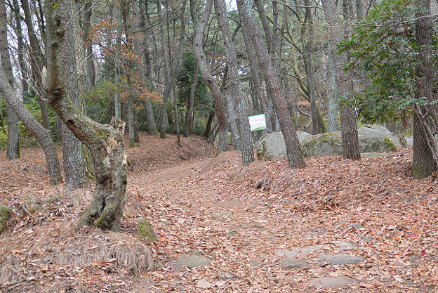 resize6609 写真: resize6609