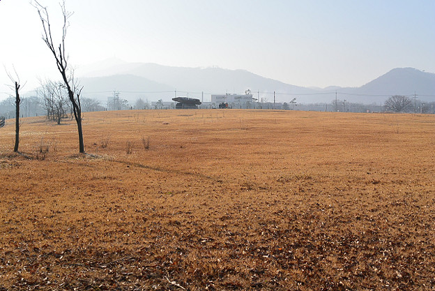 resize6765 写真: resize6765