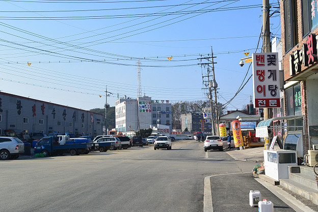 resize6832 写真: resize6832