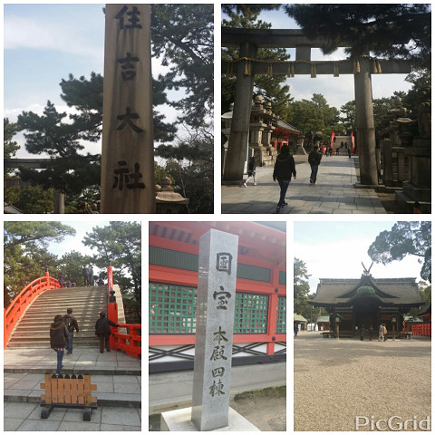 resize3691 写真: resize3691