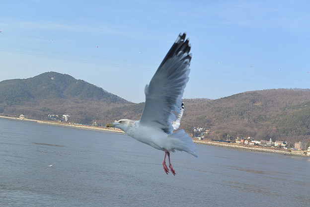 resize6874 写真: resize6874