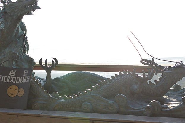 resize7256 写真: resize7256