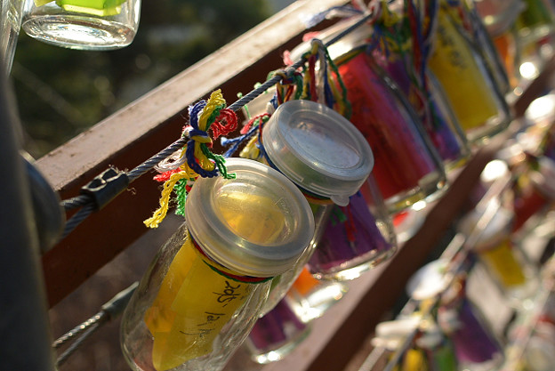 resize7269 写真: resize7269