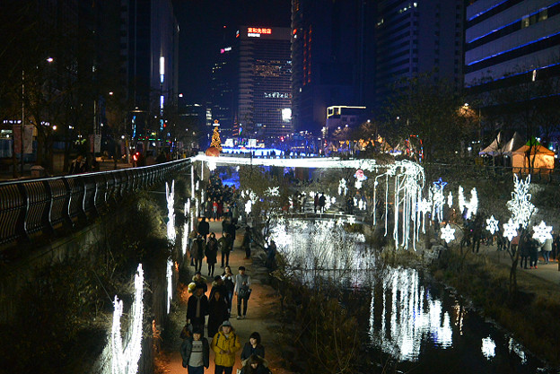 resize6999 写真: resize6999