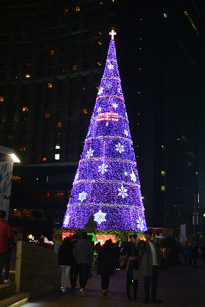 resize7009 写真: resize7009