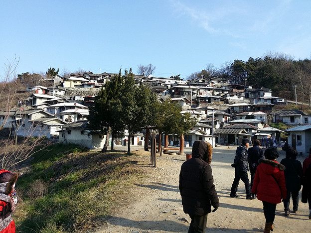 resize7856 写真: resize7856