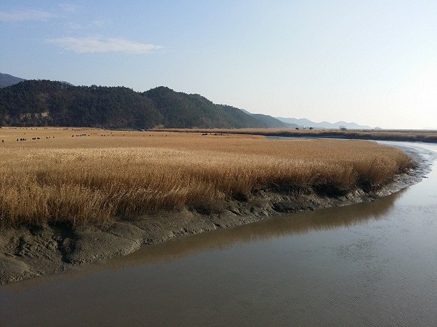 resize7976 写真: resize7976