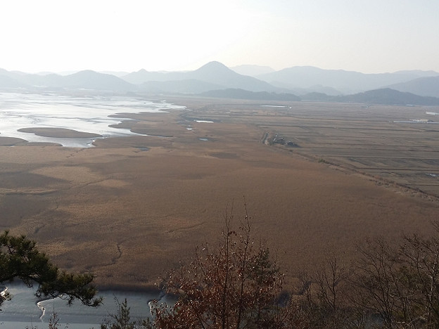 resize8000 写真: resize8000