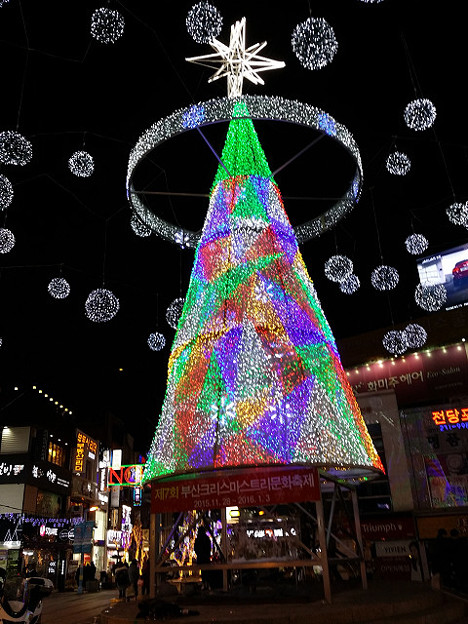 resize8044 写真: resize8044