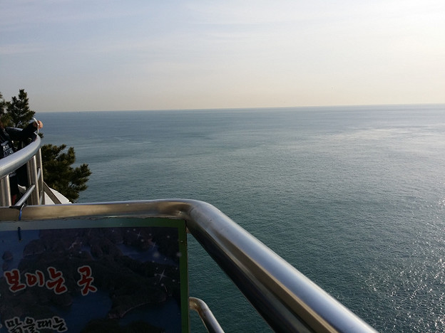 resize8119 写真: resize8119
