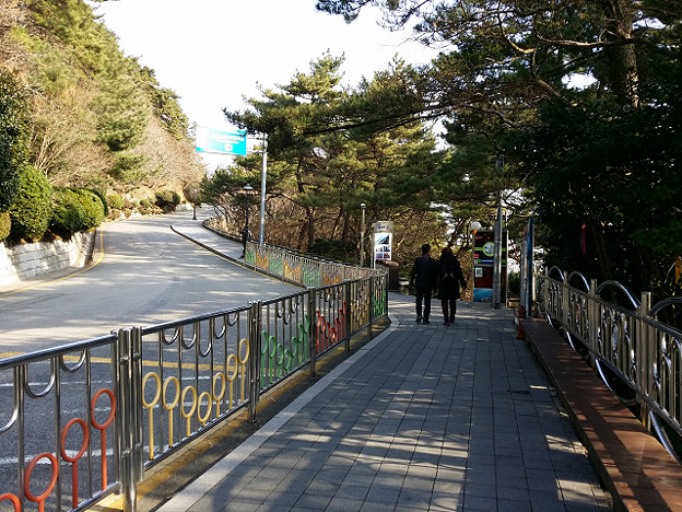 resize8125 写真: resize8125