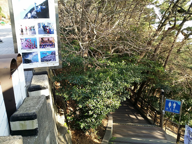 resize8127 写真: resize8127