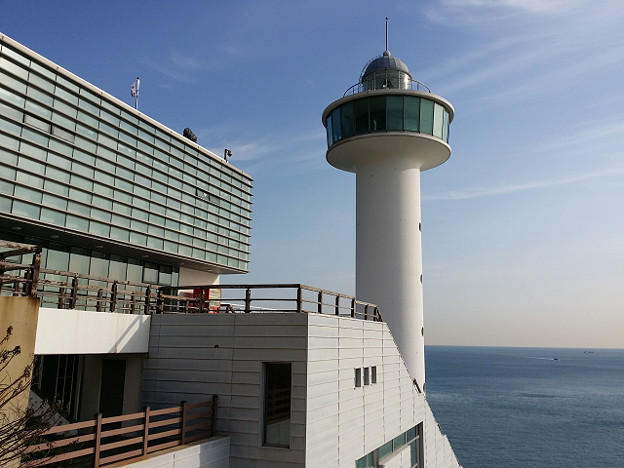 resize8138 写真: resize8138