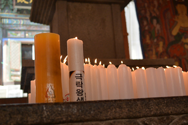 resize8392 写真: resize8392