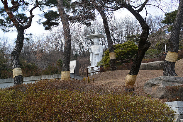 resize8394 写真: resize8394