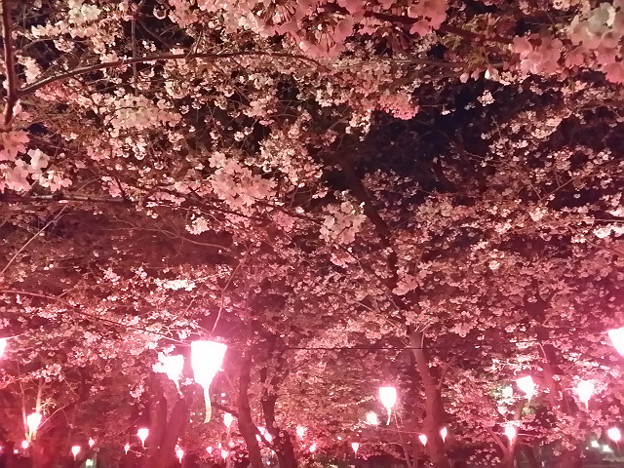 resize8880 写真: resize8880