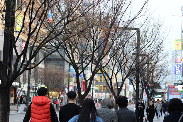 resize9121 写真: resize9121
