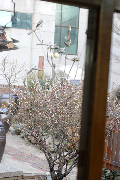 resize9133 写真: resize9133